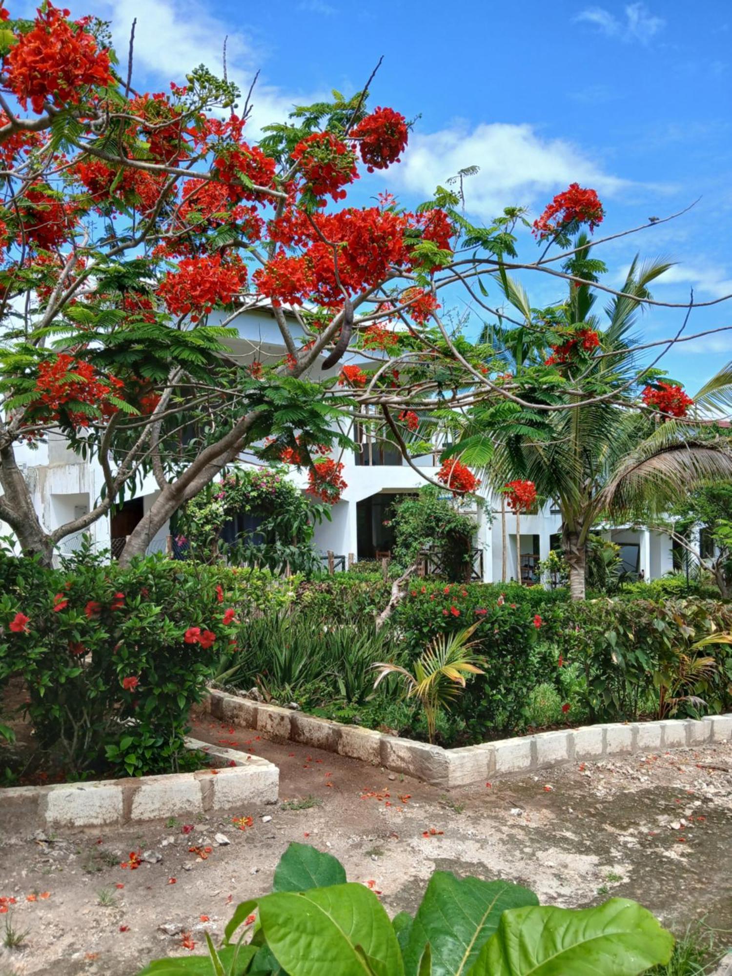Majani Breeze Villa Nungwi Luaran gambar