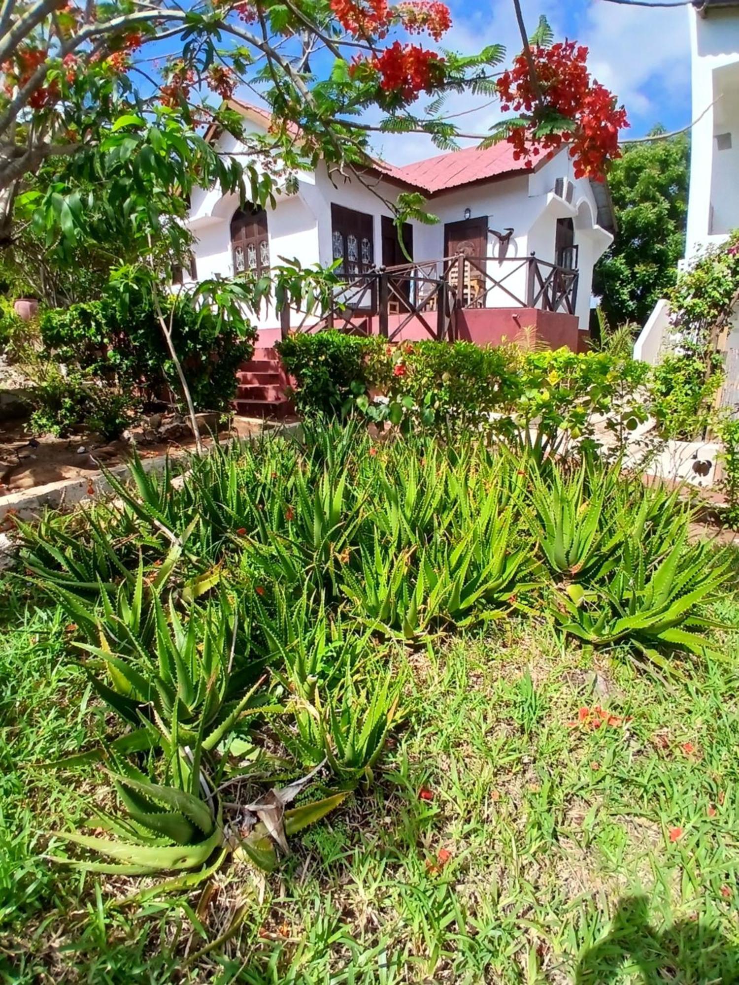 Majani Breeze Villa Nungwi Luaran gambar