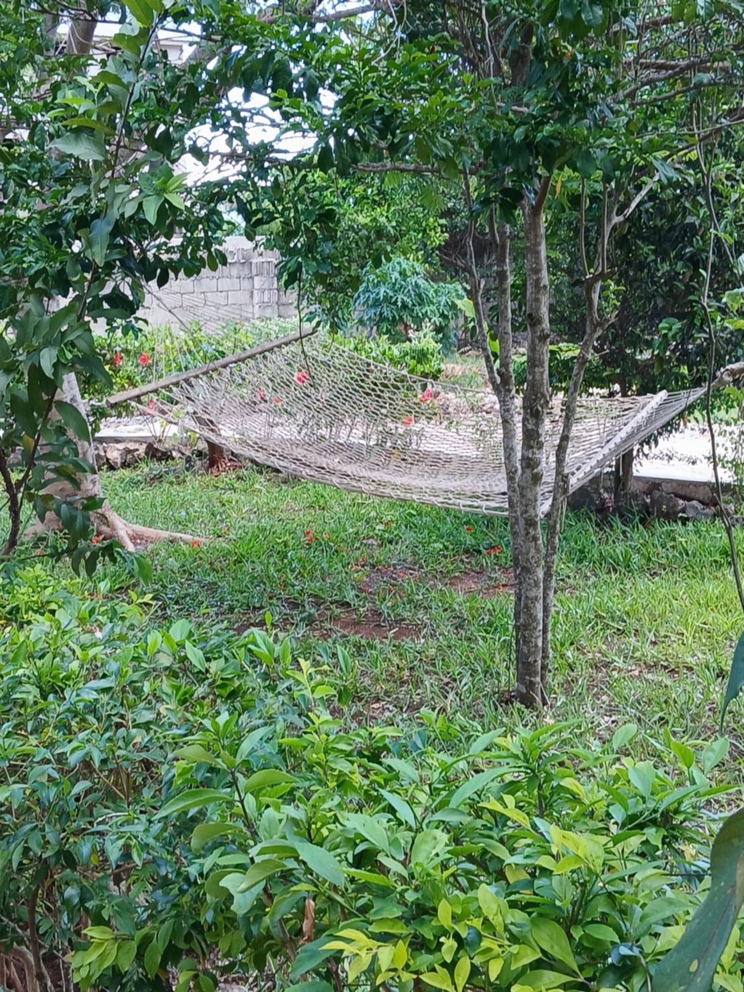 Majani Breeze Villa Nungwi Luaran gambar