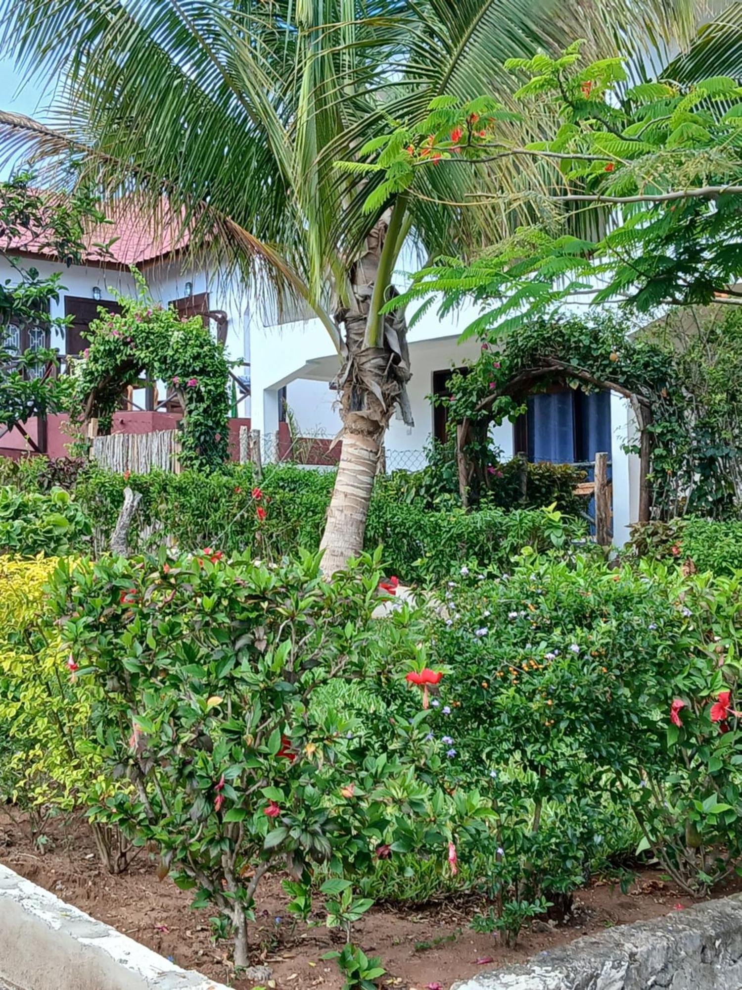 Majani Breeze Villa Nungwi Luaran gambar