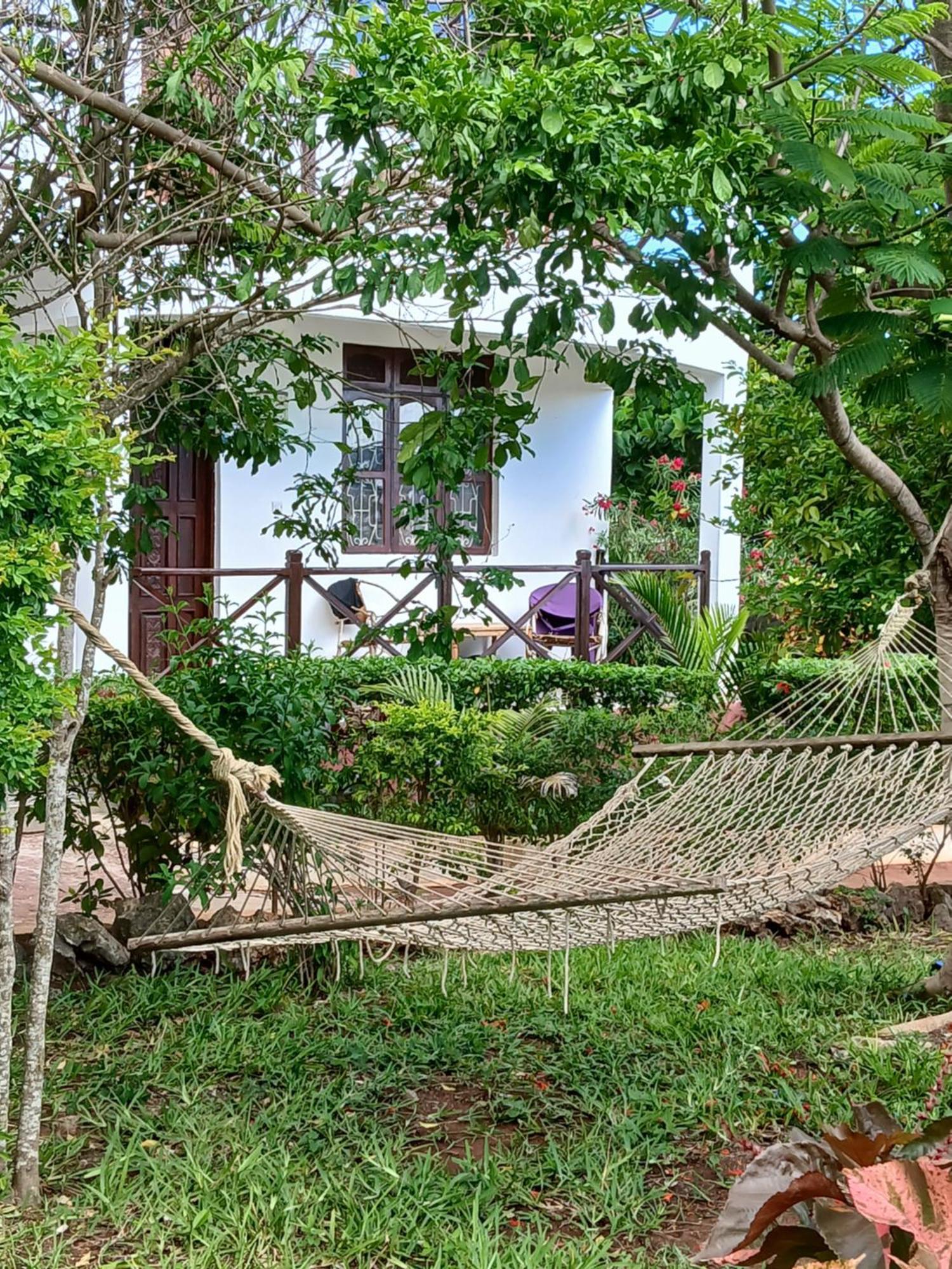 Majani Breeze Villa Nungwi Luaran gambar